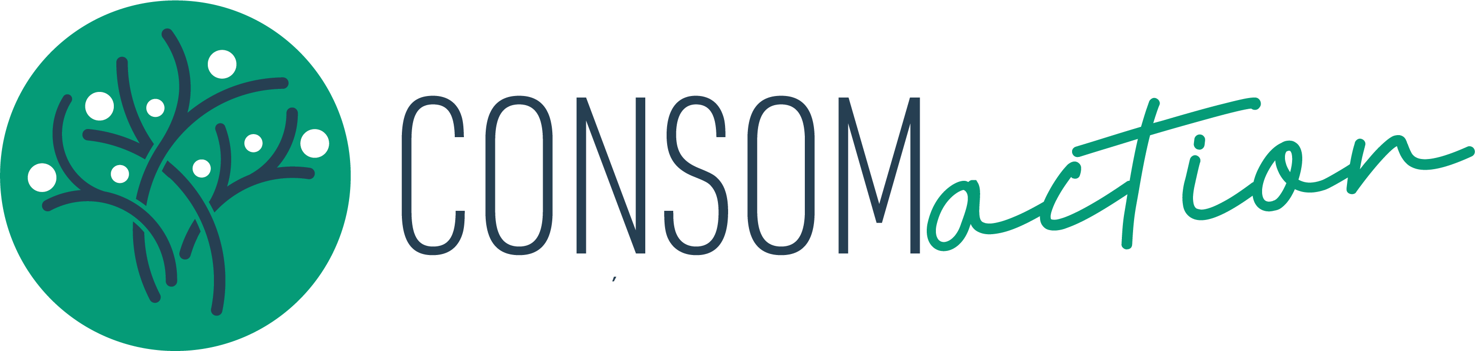 logo ConsomAction